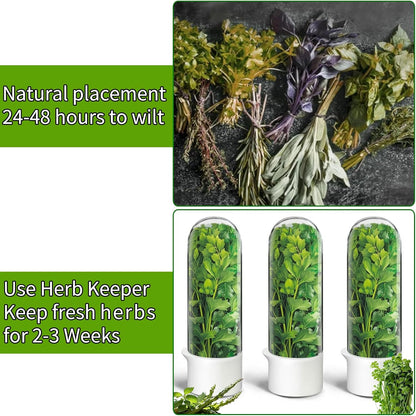 Herb Saver for Refrigerator, Herb Saver Pod Cilantro Containers for Refrigerator, Fresh Herb Keeper for Cilantro, Parsley, Asparagus, Mint, Keeps Greens Vegetables for 2-3 Weeks (Herb Keeper)