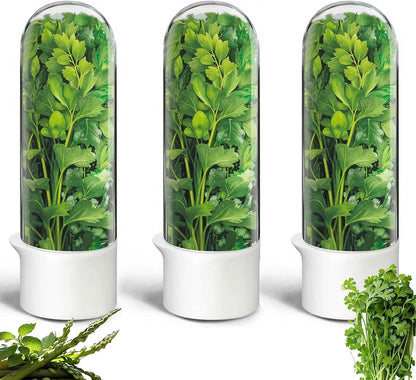 Herb Saver for Refrigerator, Herb Saver Pod Cilantro Containers for Refrigerator, Fresh Herb Keeper for Cilantro, Parsley, Asparagus, Mint, Keeps Greens Vegetables for 2-3 Weeks (Herb Keeper)