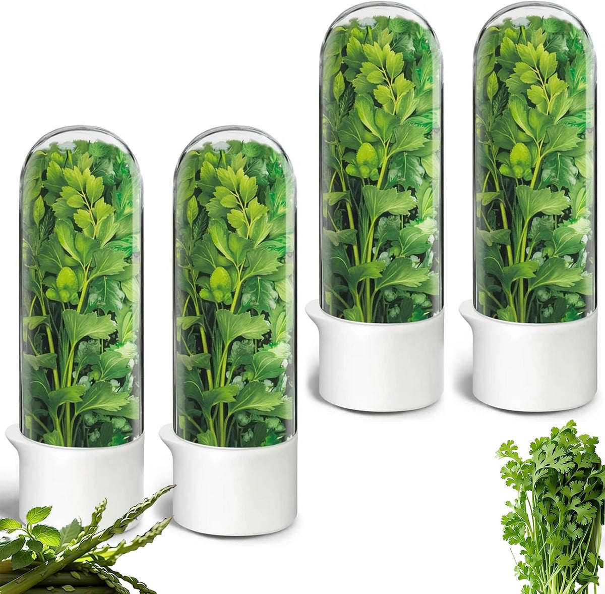 Herb Saver for Refrigerator, Herb Saver Pod Cilantro Containers for Refrigerator, Fresh Herb Keeper for Cilantro, Parsley, Asparagus, Mint, Keeps Greens Vegetables for 2-3 Weeks (Herb Keeper)