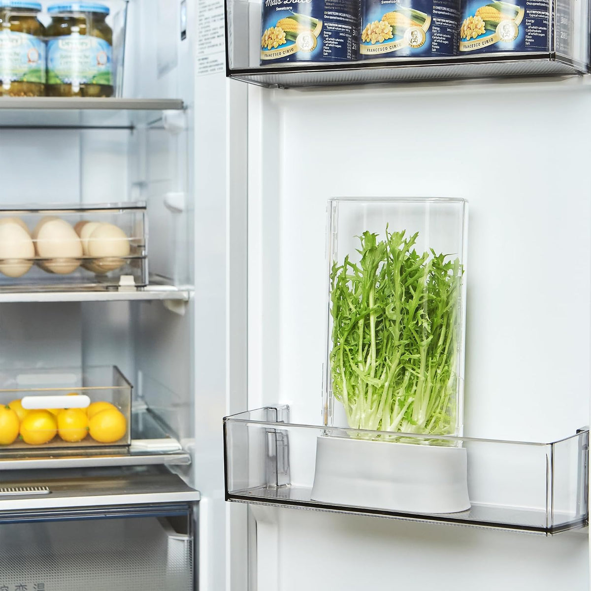 Herb Keeper for Refrigerator, Fresh Herb Saver Herb Storage Containers, Cilantro Container for Fridge Asparagus Container, Dishwasher Safe-2 Pack