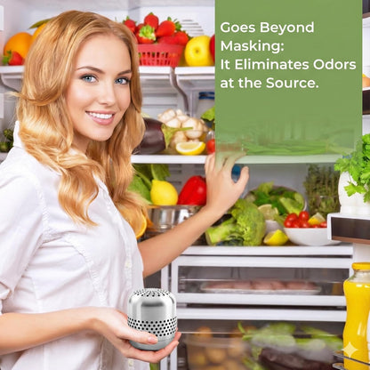 Fridge Deodorizer, Up to 10 Years, Refrigerator Odor Eliminator