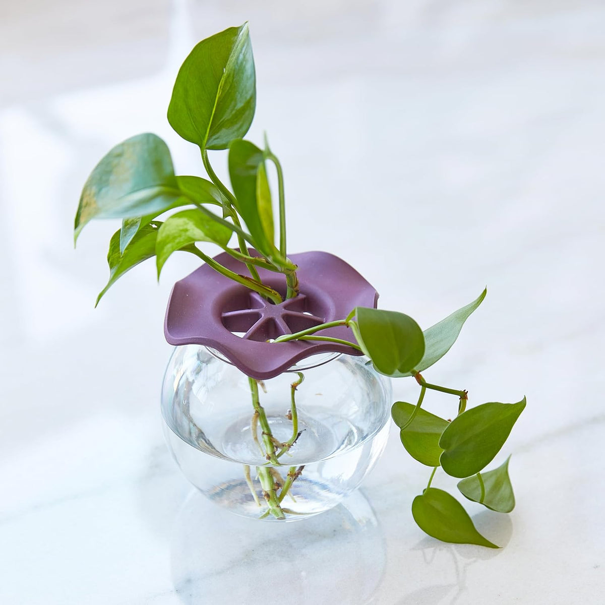 Produce Keeper for Fresh Herbs & Greens - Eco-Friendly, BPA-Free, Sustainable Materials - Extends Freshness Up to 2 Weeks - Gift for Plant Lovers and Home Chefs - 2 Pack