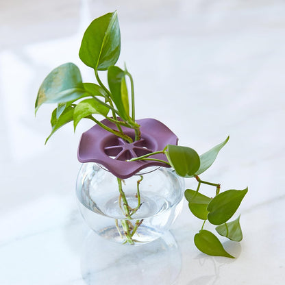 Produce Keeper for Fresh Herbs & Greens - Eco-Friendly, BPA-Free, Sustainable Materials - Extends Freshness Up to 2 Weeks - Gift for Plant Lovers and Home Chefs - 2 Pack