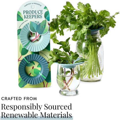 Produce Keeper for Fresh Herbs & Greens - Eco-Friendly, BPA-Free, Sustainable Materials - Extends Freshness Up to 2 Weeks - Gift for Plant Lovers and Home Chefs - 2 Pack