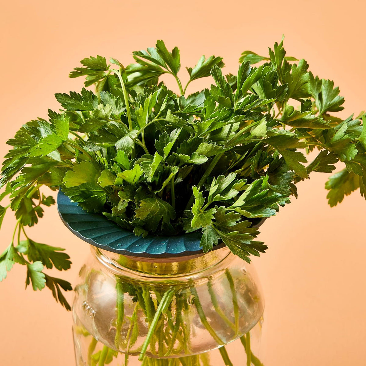Produce Keeper for Fresh Herbs & Greens - Eco-Friendly, BPA-Free, Sustainable Materials - Extends Freshness Up to 2 Weeks - Gift for Plant Lovers and Home Chefs - 2 Pack