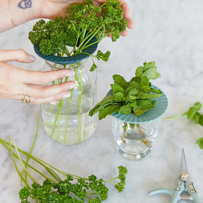 Produce Keeper for Fresh Herbs & Greens - Eco-Friendly, BPA-Free, Sustainable Materials - Extends Freshness Up to 2 Weeks - Gift for Plant Lovers and Home Chefs - 2 Pack