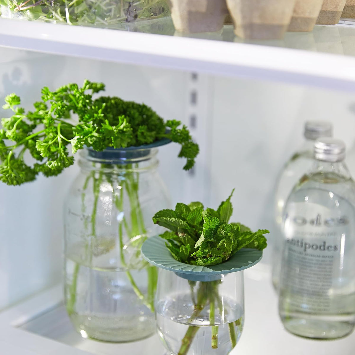 Produce Keeper for Fresh Herbs & Greens - Eco-Friendly, BPA-Free, Sustainable Materials - Extends Freshness Up to 2 Weeks - Gift for Plant Lovers and Home Chefs - 2 Pack