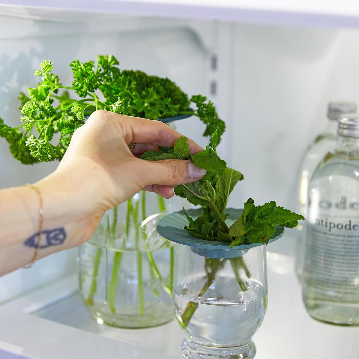 Produce Keeper for Fresh Herbs & Greens - Eco-Friendly, BPA-Free, Sustainable Materials - Extends Freshness Up to 2 Weeks - Gift for Plant Lovers and Home Chefs - 2 Pack