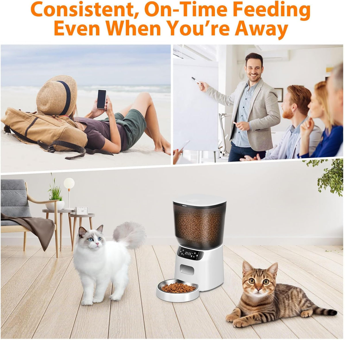 Automatic Cat Feeder, Cat Food Dispenser with Stainless Steel Bowl, Timed Portion Control 20 Portions 6 Meals Per Day, Voice Recorder, Dual Power Supply for Small Dogs