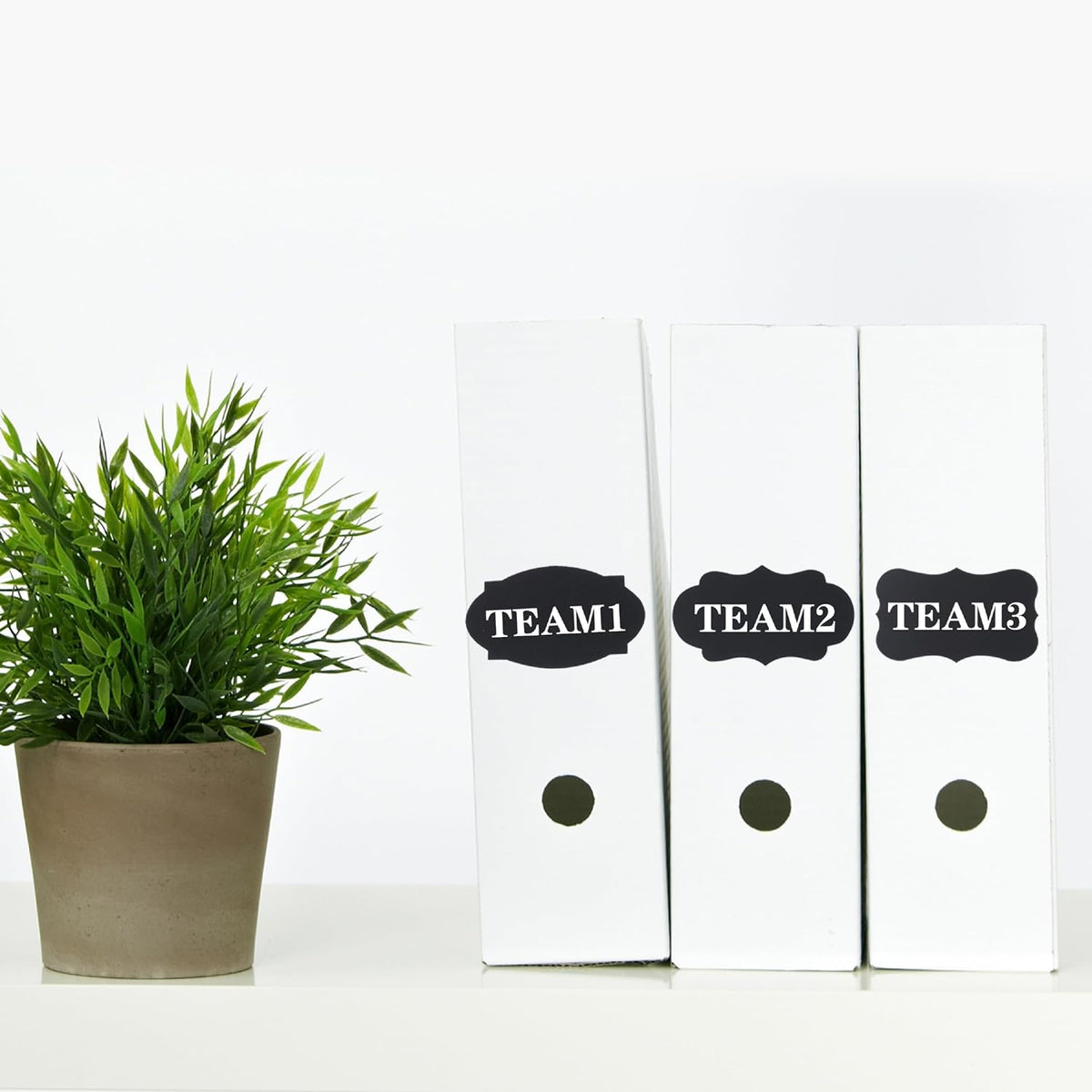 Chalkboard Labels, Assorted Shapes