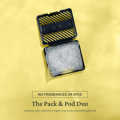 Odor Eliminating Packs, 6-Pack with Pod Case, Original