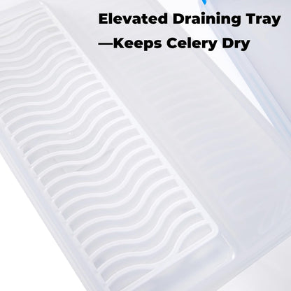 Celery Keeper for Refrigerator, 14 in 3.5 L Produce Container