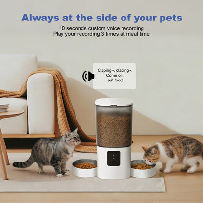 Automatic Cat Feeder, 3L Cat Food Dispenser with 10s Voice Recorder, Pet Feeder up to 8 Meals per Day, Timed Dog Feeder