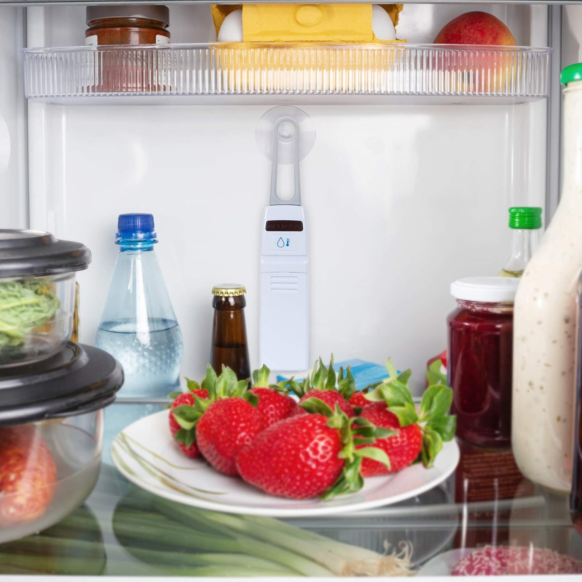 (00515M) Wireless Fridge and Freezer Thermometer with Alarm