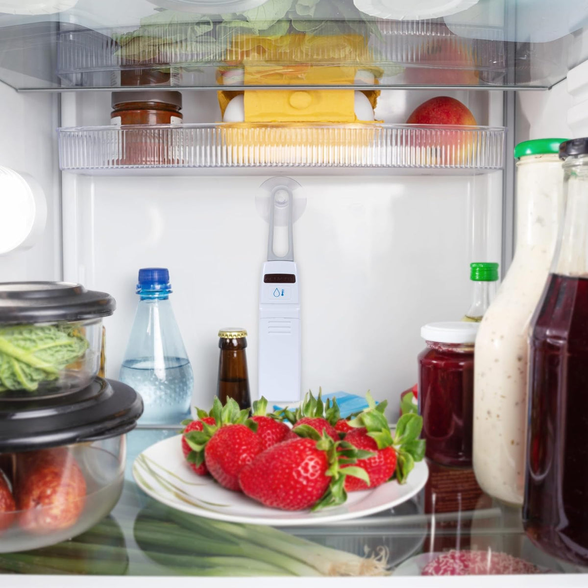 (00515M) Wireless Fridge and Freezer Thermometer with Alarm