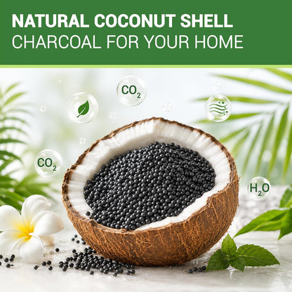 Fridge Freezer Deodorizer Activated Charcoal Odor Absorber 10 Pack