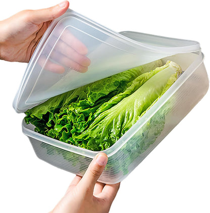 Lettuce Keeper, Salad Keeper Container Lettuce Crisper, Keep Vegetables and Fruits Crispy and Fresh for Salad Berry Lettuce Food Meat Fish Celery