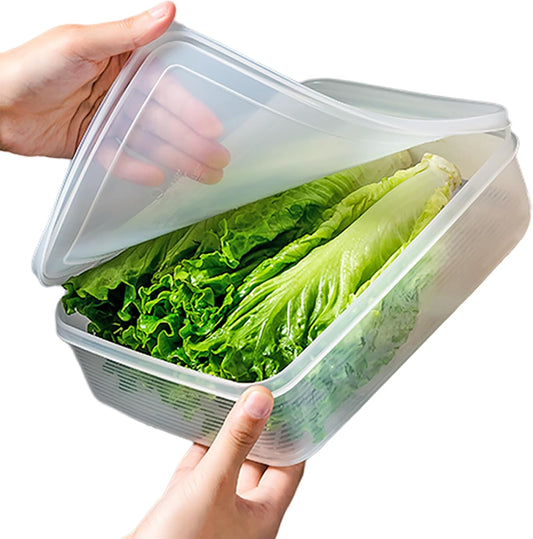 Lettuce Keeper, Salad Keeper Container Lettuce Crisper, Keep Vegetables and Fruits Crispy and Fresh for Salad Berry Lettuce Food Meat Fish Celery