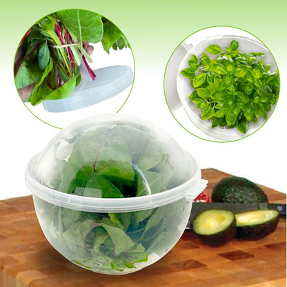 Lettuce And Vegatable Storage Keeper | 7" X 8"