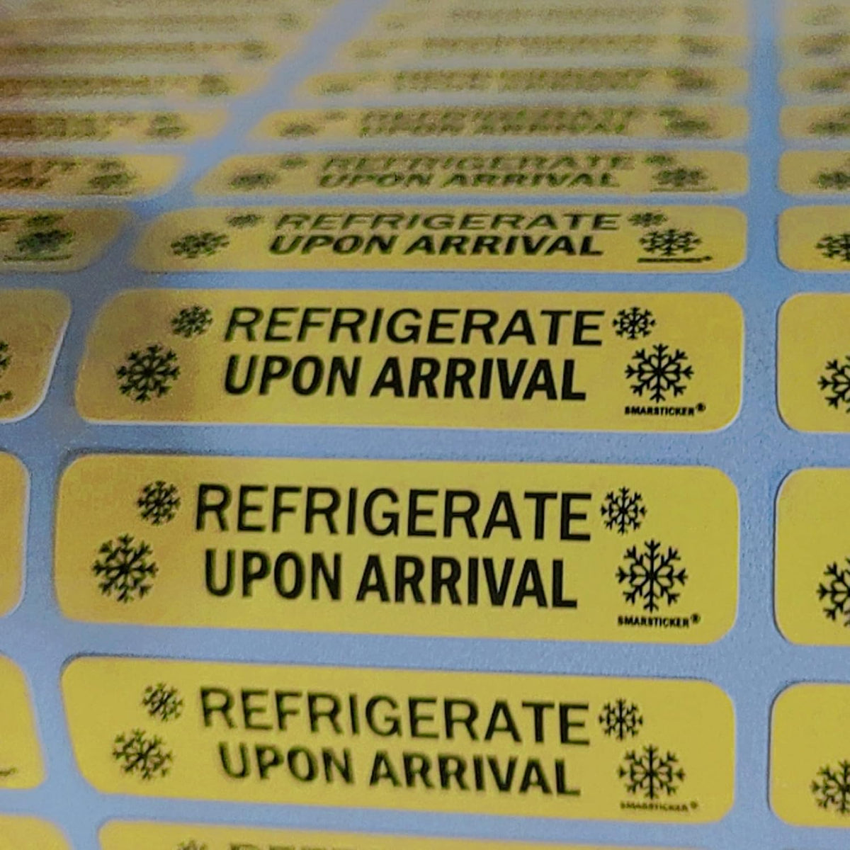 Refrigerate Upon Arrival Stickers Keep Refrigerated Food Packaging Warning Shipping Labels Keep Cold Food Service Pharmacy Stickers for Pharmacy Drug Stores (Green)