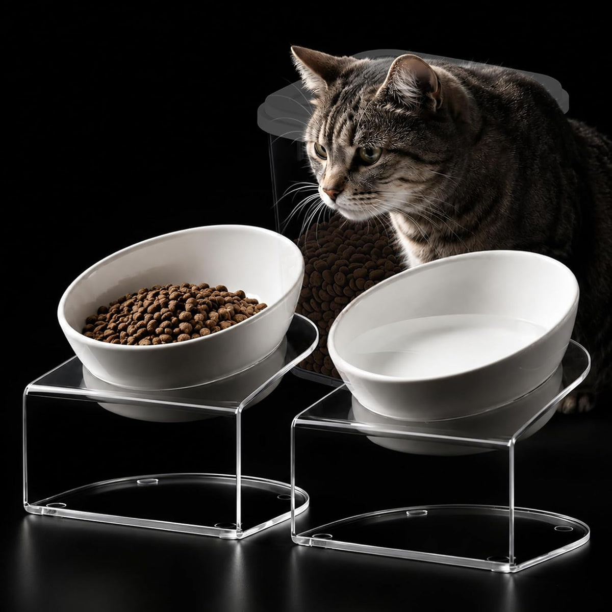 Dog Food Storage Container 10 Lbs | Pet Food Storage Containers With Lids & Scooper BPA Free Airtight Storage Containers Store Dry Food For Kitchen Pantry