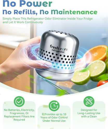 Refrigerator Deodorizer, Nano-Catalytic Stainless Steel Odor Eliminator, Compact Storage Design, Extends Grocery Life, 10-Year Odor Eliminator for Fridge Freezer Car Closet，1Pcs
