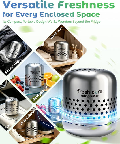 Refrigerator Deodorizer, Nano-Catalytic Stainless Steel Odor Eliminator, Compact Storage Design, Extends Grocery Life, 10-Year Odor Eliminator for Fridge Freezer Car Closet，1Pcs