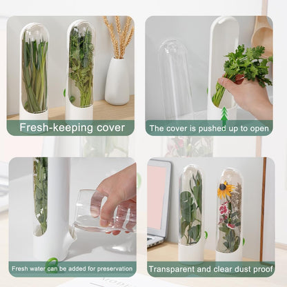 2PCS Herb Saver, Cilantro Containers for Refrigerator, Herb Keeper and Saver for Refrigerator, Fresh Herbs Keeper for Cilantro,Parsley,Vegetable, Keeps Greens Fresh for 2-3 Weeks