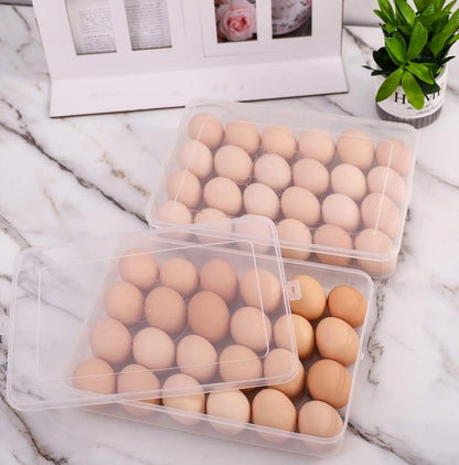 2 Pack Egg Holder for Refrigerator, Plastic Egg Storage Container, Fridge Egg Organizer, Clear Refrigerator Organizer Bins with Lids, Stackable Tray Holds 12 Eggs