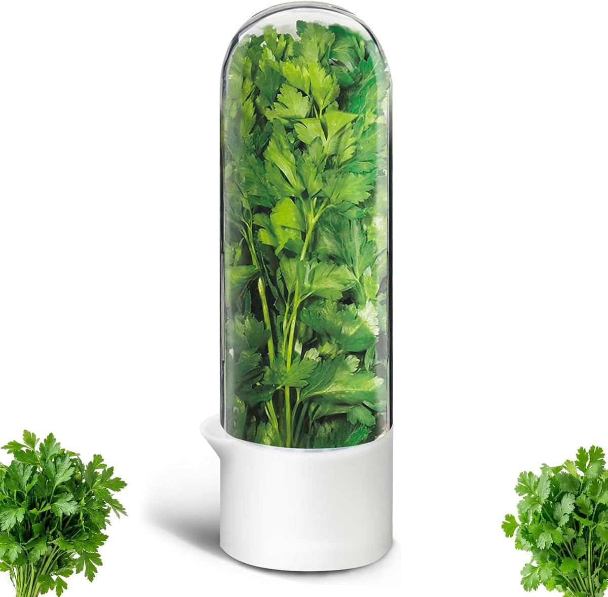 Herb Saver, Herb Keeper for Refrigerator, Cilantro Container for Fridge, Hard Shell Fresh Herb Storage for Asparagus, Parsley, Mint, Rosemary, Keeps Greens Fresh for 2-3 Weeks
