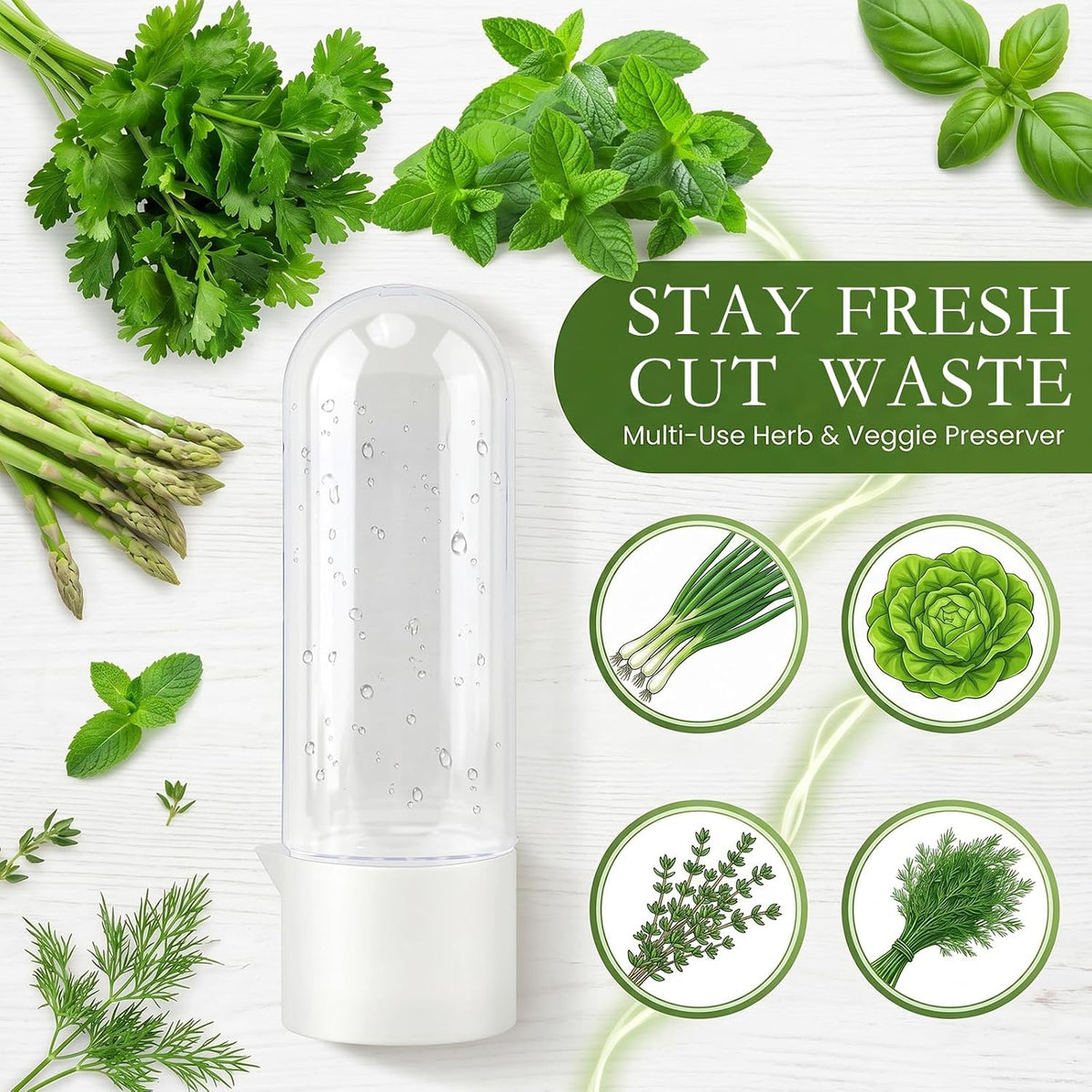 Herb Saver, Herb Keeper for Refrigerator, Cilantro Container for Fridge, Hard Shell Fresh Herb Storage for Asparagus, Parsley, Mint, Rosemary, Keeps Greens Fresh for 2-3 Weeks
