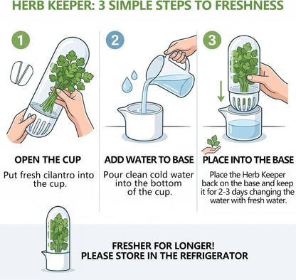 Herb Saver, Herb Keeper for Refrigerator, Cilantro Container for Fridge, Hard Shell Fresh Herb Storage for Asparagus, Parsley, Mint, Rosemary, Keeps Greens Fresh for 2-3 Weeks