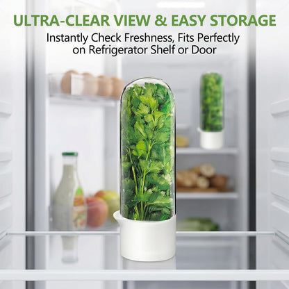 Herb Saver, Herb Keeper for Refrigerator, Cilantro Container for Fridge, Hard Shell Fresh Herb Storage for Asparagus, Parsley, Mint, Rosemary, Keeps Greens Fresh for 2-3 Weeks