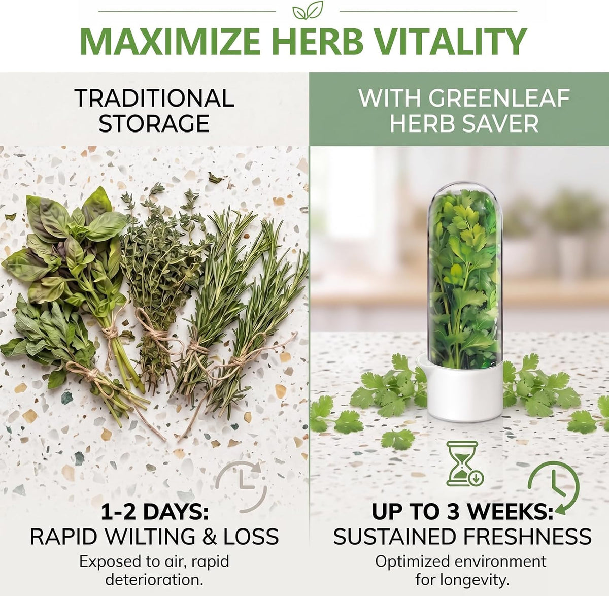 Herb Saver, Herb Keeper for Refrigerator, Cilantro Container for Fridge, Hard Shell Fresh Herb Storage for Asparagus, Parsley, Mint, Rosemary, Keeps Greens Fresh for 2-3 Weeks