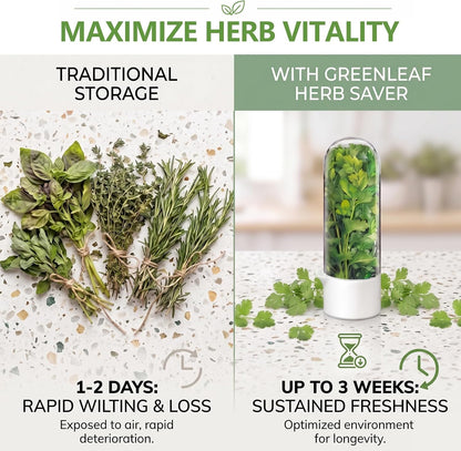 Herb Saver, Herb Keeper for Refrigerator, Cilantro Container for Fridge, Hard Shell Fresh Herb Storage for Asparagus, Parsley, Mint, Rosemary, Keeps Greens Fresh for 2-3 Weeks