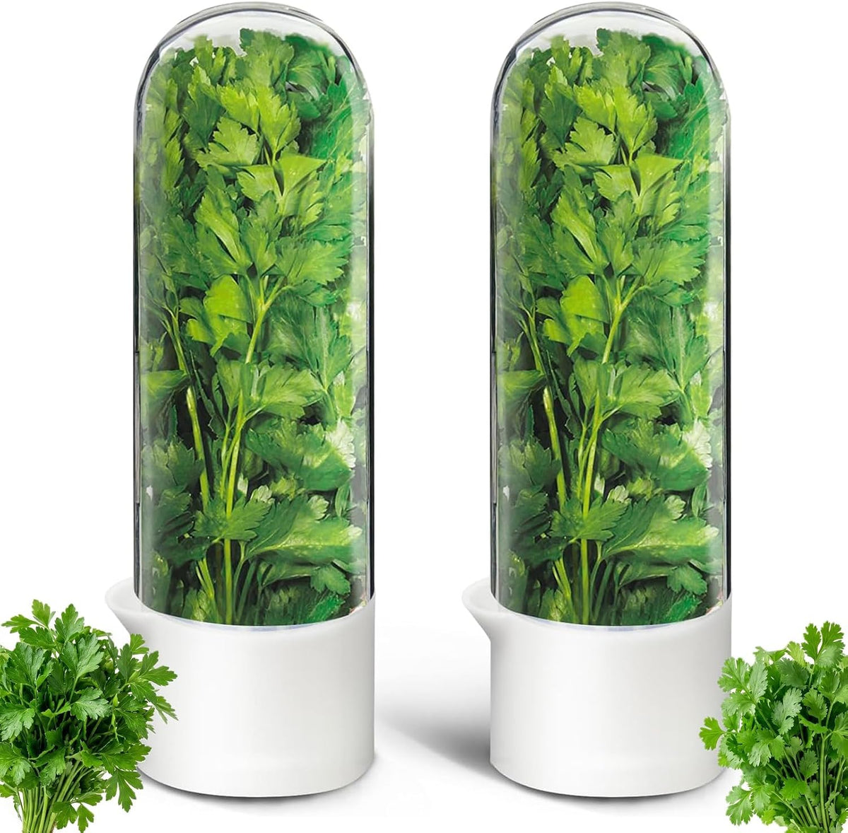 Herb Saver, Herb Keeper for Refrigerator, Cilantro Container for Fridge, Hard Shell Fresh Herb Storage for Asparagus, Parsley, Mint, Rosemary, Keeps Greens Fresh for 2-3 Weeks