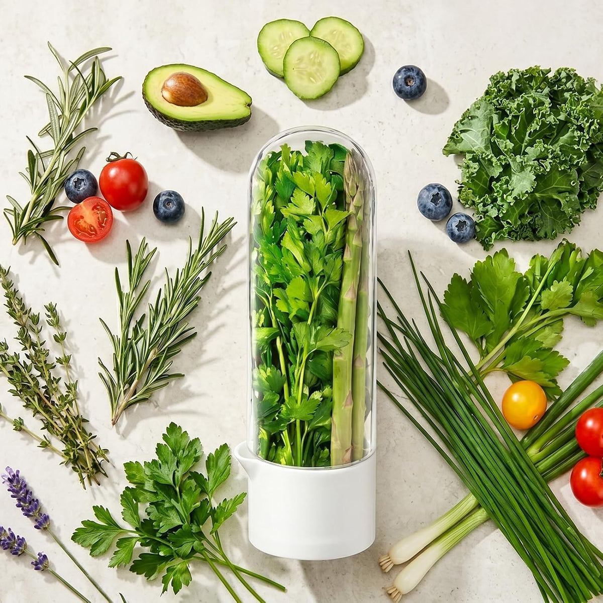 Herb Saver, Herb Keeper for Refrigerator, Cilantro Container for Fridge, Hard Shell Fresh Herb Storage for Asparagus, Parsley, Mint, Rosemary, Keeps Greens Fresh for 2-3 Weeks