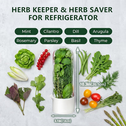 Herb Saver, Herb Keeper for Refrigerator, Cilantro Container for Fridge, Hard Shell Fresh Herb Storage for Asparagus, Parsley, Mint, Rosemary, Keeps Greens Fresh for 2-3 Weeks