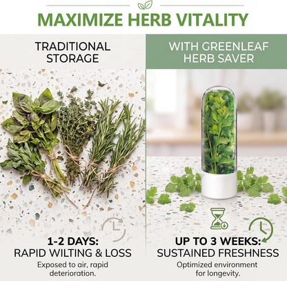 Herb Saver, Herb Keeper for Refrigerator, Cilantro Container for Fridge, Hard Shell Fresh Herb Storage for Asparagus, Parsley, Mint, Rosemary, Keeps Greens Fresh for 2-3 Weeks