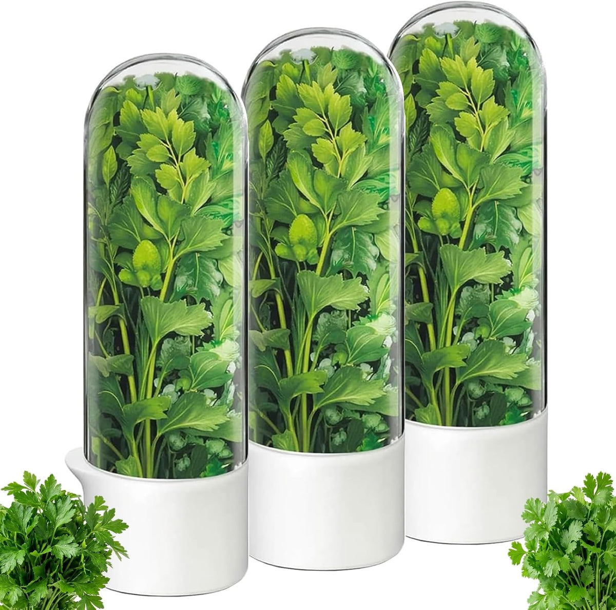 Herb Saver, Herb Keeper for Refrigerator, Cilantro Container for Fridge, Hard Shell Fresh Herb Storage for Asparagus, Parsley, Mint, Rosemary, Keeps Greens Fresh for 2-3 Weeks