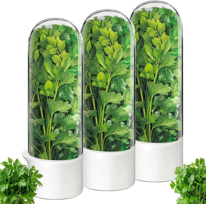 Herb Saver, Herb Keeper for Refrigerator, Cilantro Container for Fridge, Hard Shell Fresh Herb Storage for Asparagus, Parsley, Mint, Rosemary, Keeps Greens Fresh for 2-3 Weeks