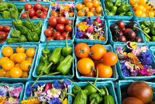 Green Berry Basket 1 Pint, Pulp Fiber Vented Produce Containers Farmers Market Basket, Fruit & Vegetable Containers