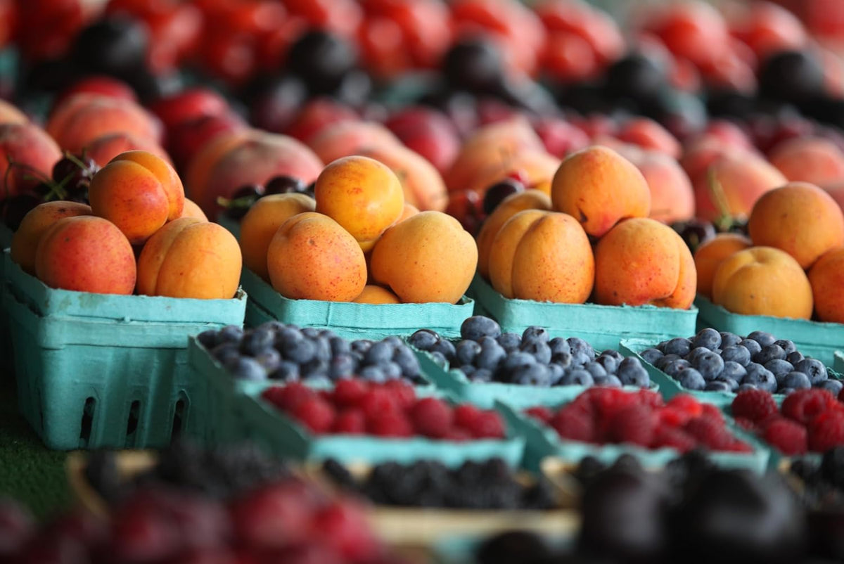 Green Berry Basket 1 Pint, Pulp Fiber Vented Produce Containers Farmers Market Basket, Fruit & Vegetable Containers