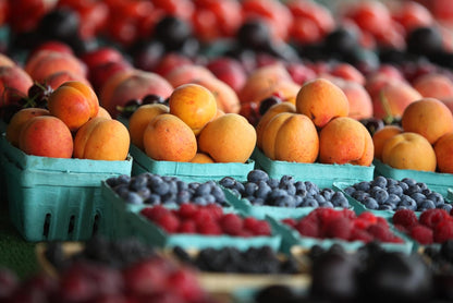 Green Berry Basket 1 Pint, Pulp Fiber Vented Produce Containers Farmers Market Basket, Fruit & Vegetable Containers