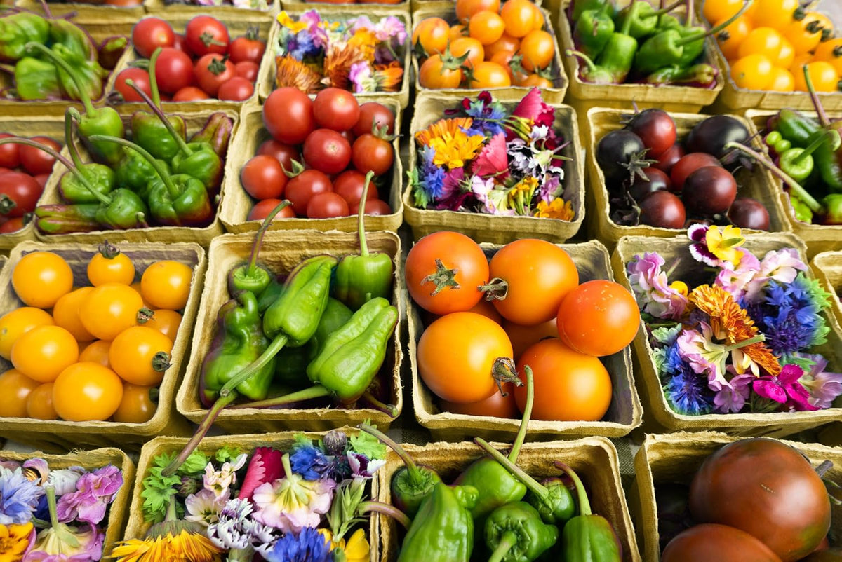 Green Berry Basket 1 Pint, Pulp Fiber Vented Produce Containers Farmers Market Basket, Fruit & Vegetable Containers