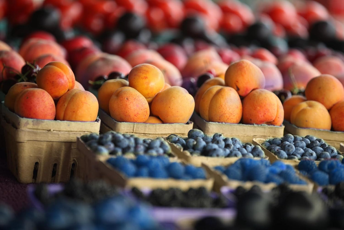 Green Berry Basket 1 Pint, Pulp Fiber Vented Produce Containers Farmers Market Basket, Fruit & Vegetable Containers