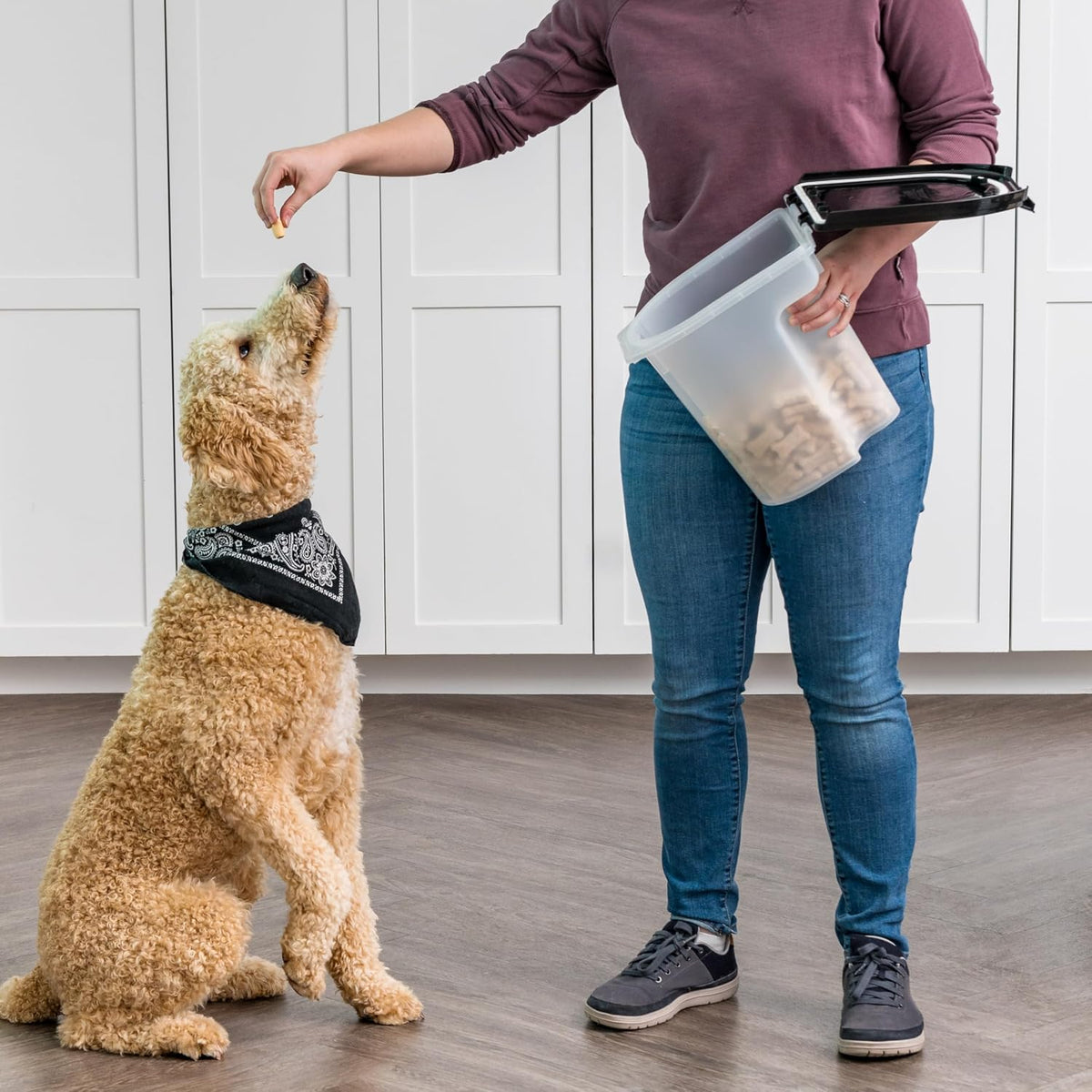 Dog Food Storage Container, Up to 6.5 lbs, Black, Made in USA | Airtight Seal, BPA-Free, Best for Bird Seed, Cat food, Cat Litter, Chicken Feed
