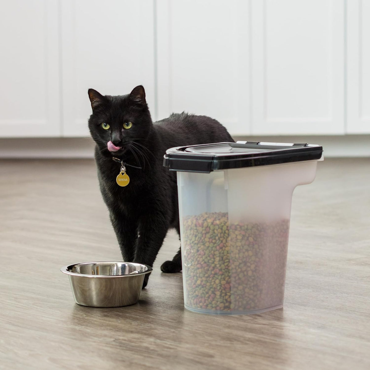 Dog Food Storage Container, Up to 6.5 lbs, Black, Made in USA | Airtight Seal, BPA-Free, Best for Bird Seed, Cat food, Cat Litter, Chicken Feed