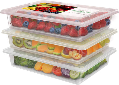 1.5L Fruit Storage Containers for Fridge with Removable Drain Tray