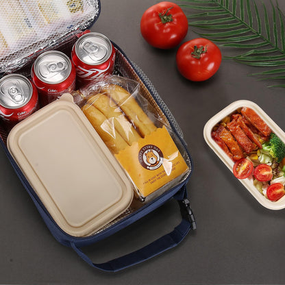Lunch box Lunch bag for men women Insulated Lunchbox Lunch bags for Work Picnic Travel (Black)